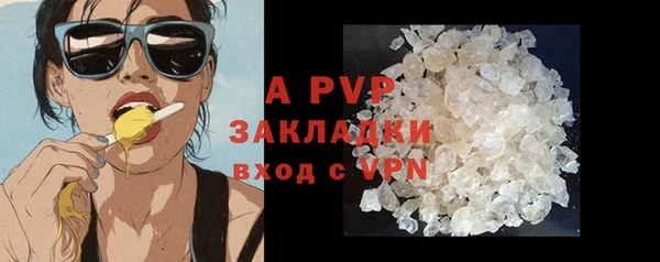 PSILOCYBIN Магадан