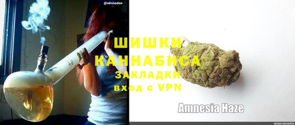 ECSTASY Майский