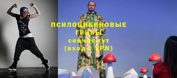PSILOCYBIN Магадан