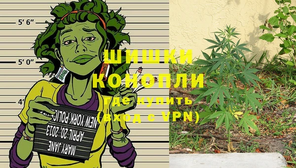 ECSTASY Майский