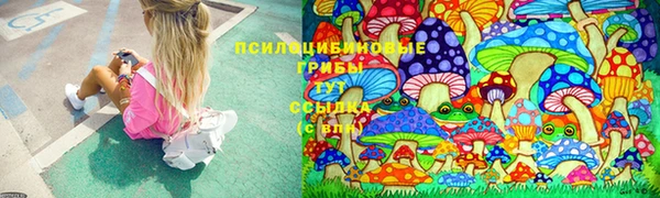 PSILOCYBIN Магадан