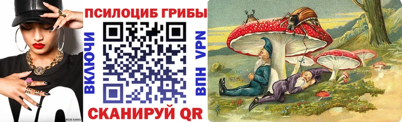 Купить Киселёвск Псилоцибиновые грибы GOLDEN TEACHER