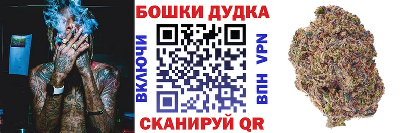Купить закладки  Киселёвск  Бошки марихуана Ganja 